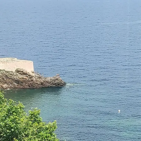 Nid D'aigle Bastia (Corsica)